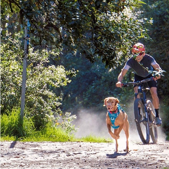 RC Pet Products Momentum Dog Harness medium Black - Picture 3 of 7